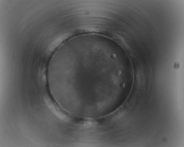 X0000114170398200910151642