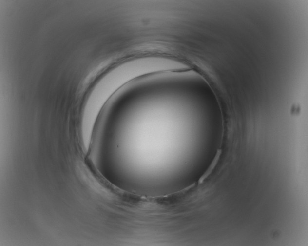 X0000114170399200910151642