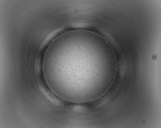 X0000114170400200910151642