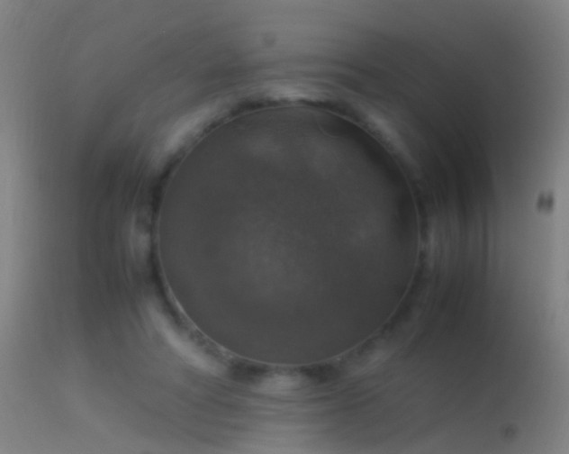 X0000114170402200910151641