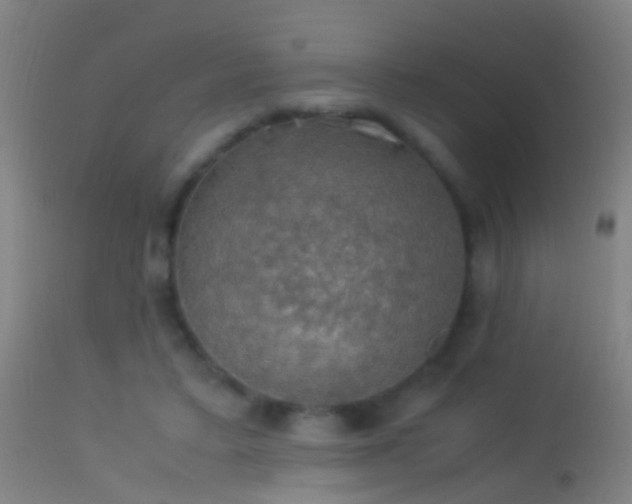 X0000114170403200910151641