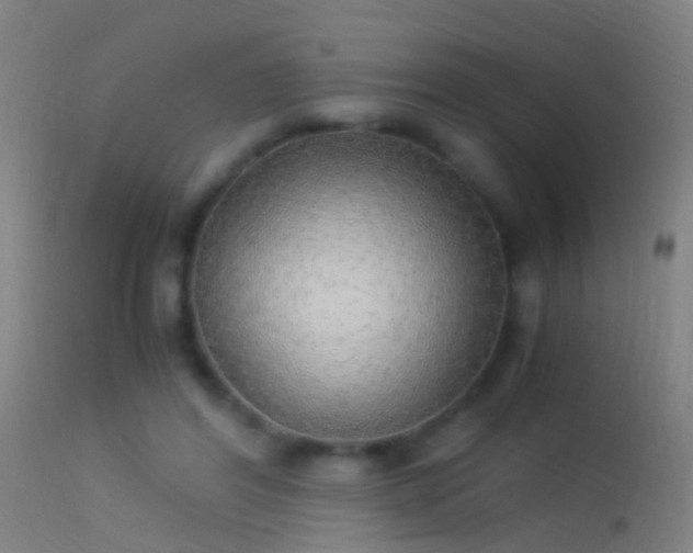 X0000114170404200910151641