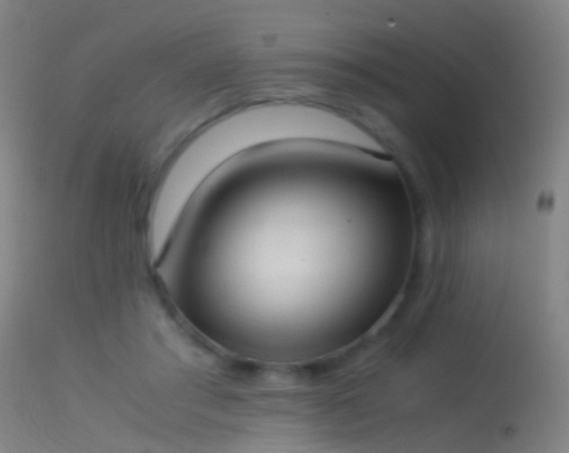 X0000114170405200910151641