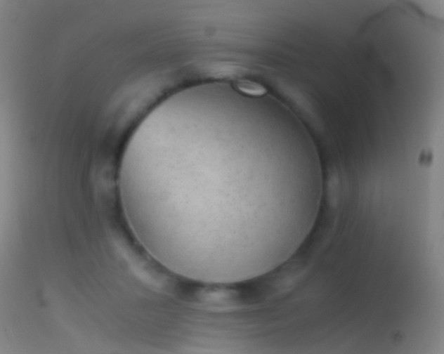 X0000114170407200910151641