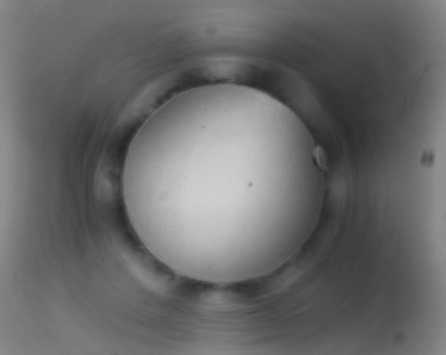 X0000114170408200910151641