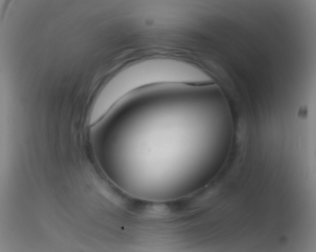 X0000114170409200910151641