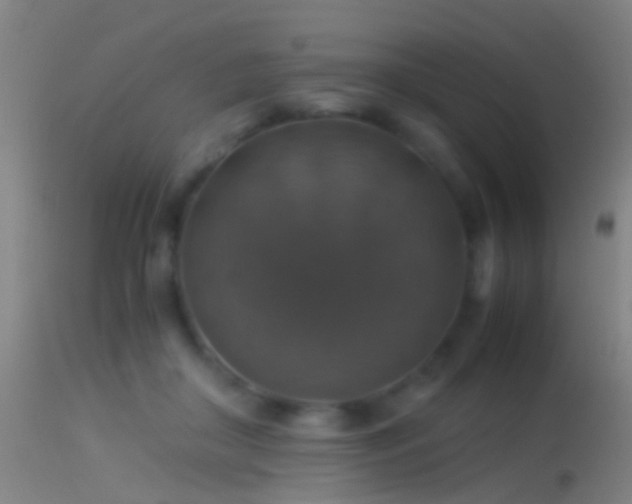 X0000114170410200910151641