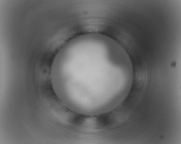 X0000114170411200910151641