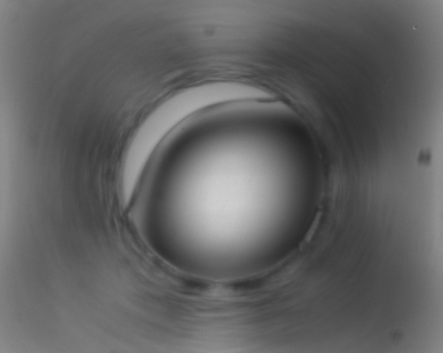 X0000114170413200910151641