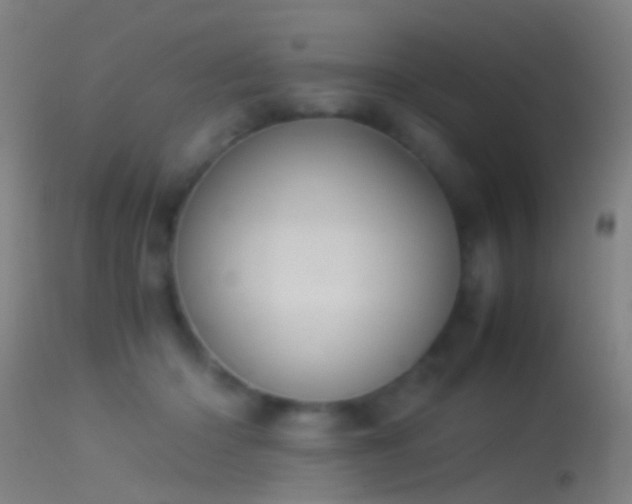 X0000114170414200910151641