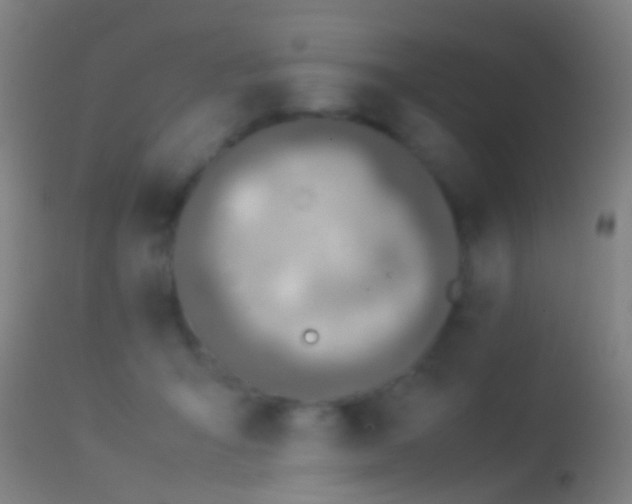 X0000114170415200910151641