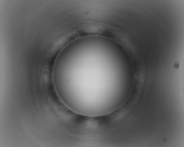 X0000114170416200910151641