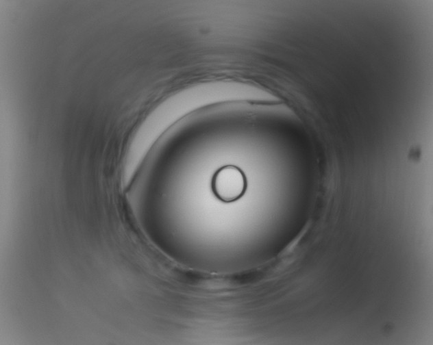 X0000114170417200910151641