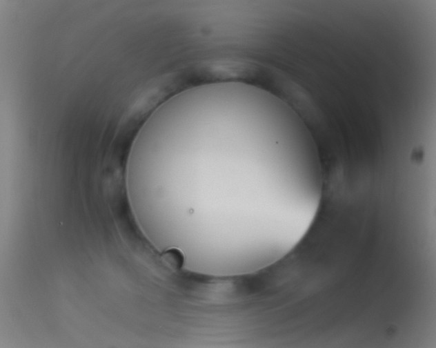 X0000114170418200910151641