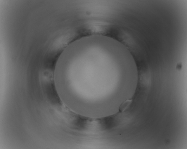 X0000114170419200910151641