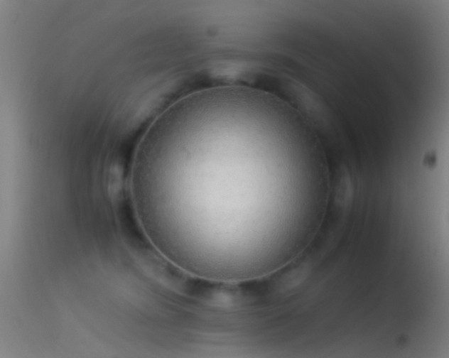 X0000114170420200910151641