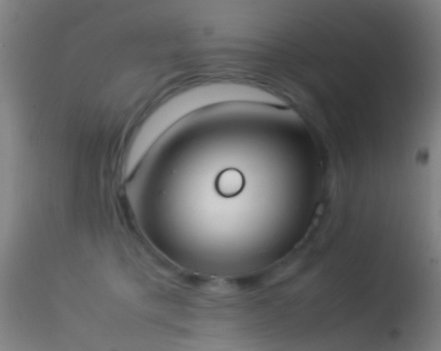 X0000114170421200910151641