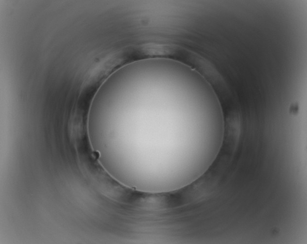 X0000114170422200910151641