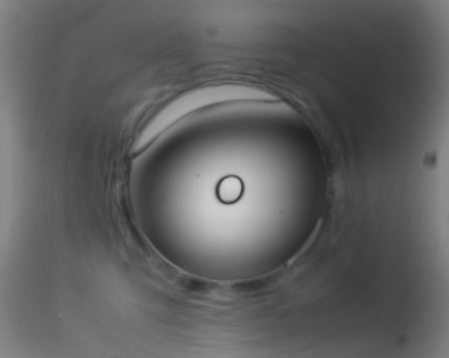 X0000114170423200910151641