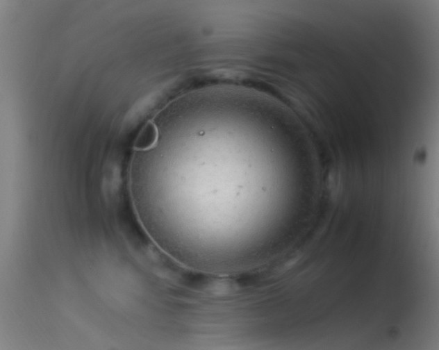 X0000114170424200910151641