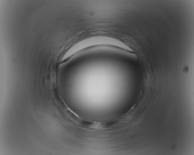 X0000114170425200910151641