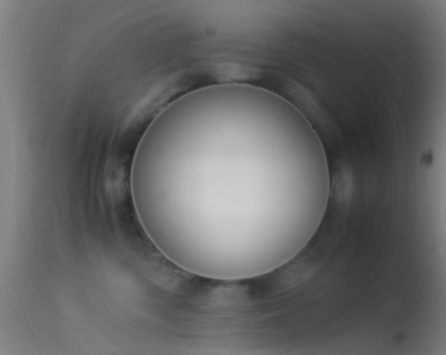 X0000114170426200910151641