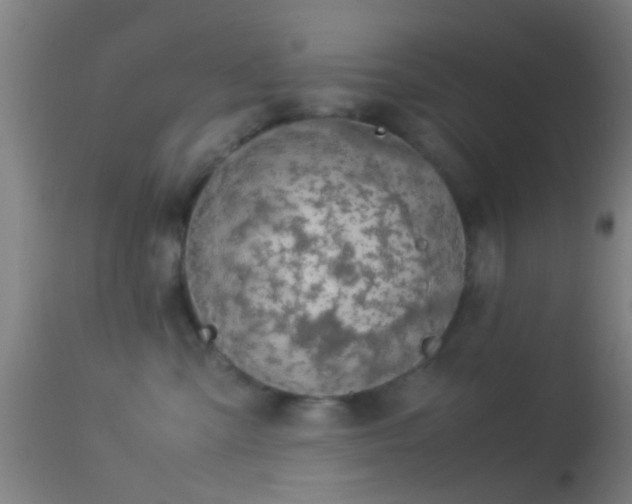 X0000114170427200910151641