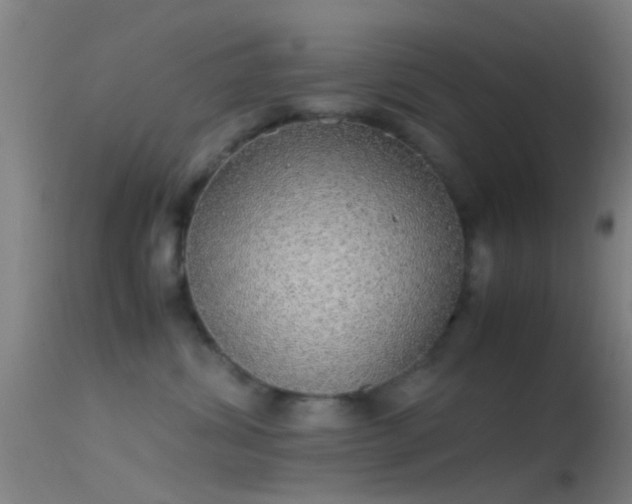 X0000114170428200910151641