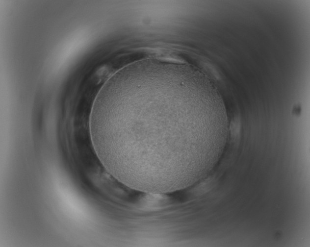 X0000114170429200910151641