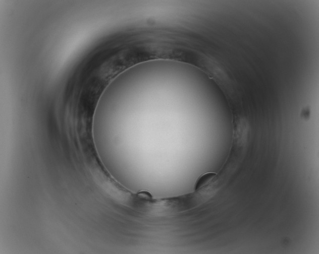 X0000114170430200910151641