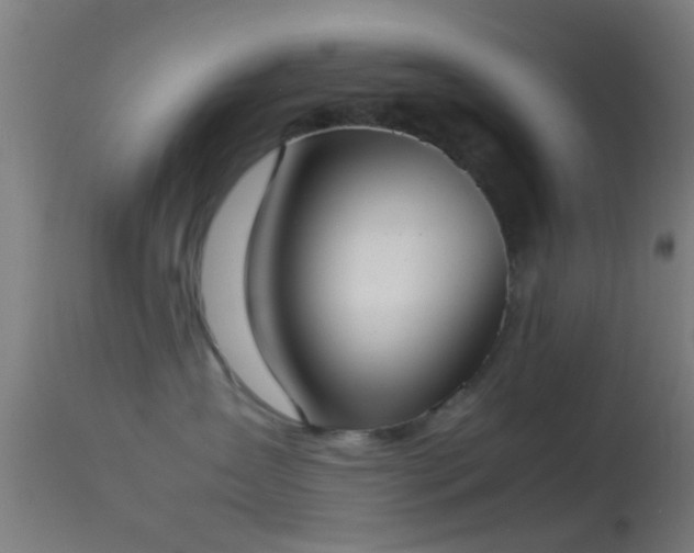 X0000114170431200910151641