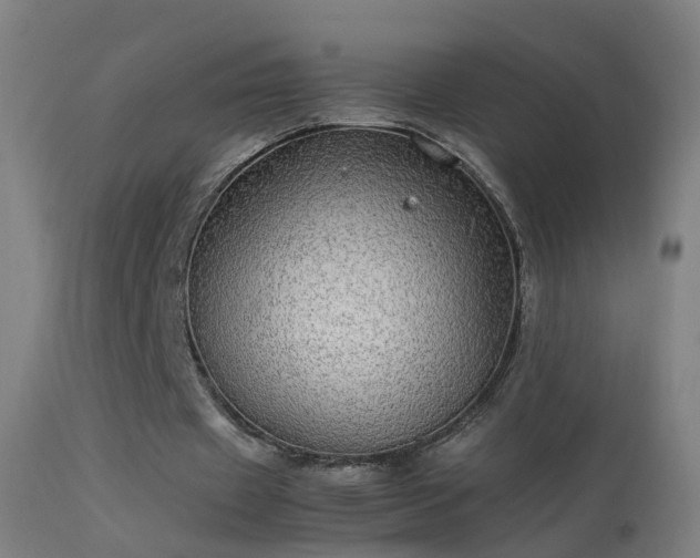 X0000114170433200910151640