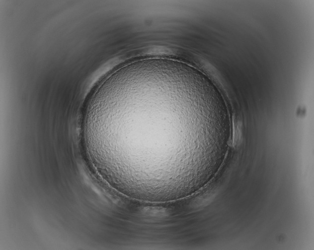 X0000114170435200910151640