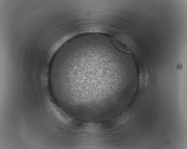 X0000114170436200910151640