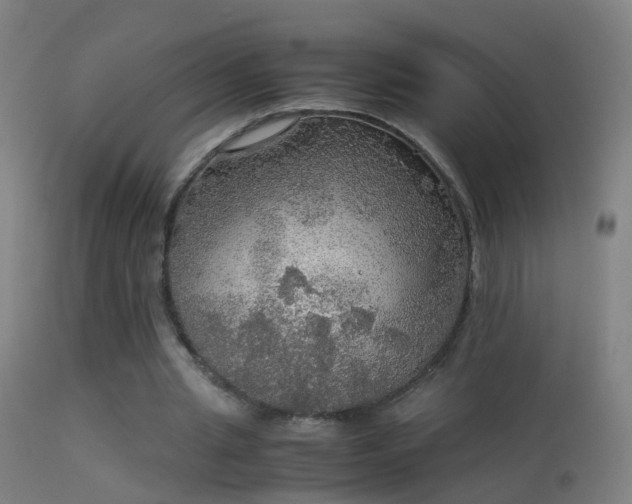 X0000114170437200910151640