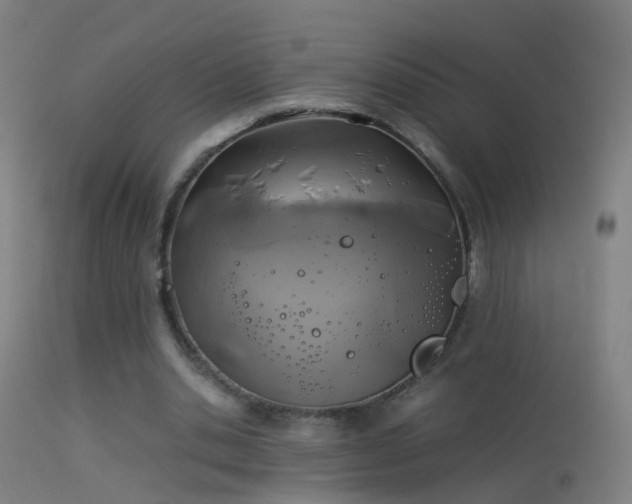 X0000114170438200910151640