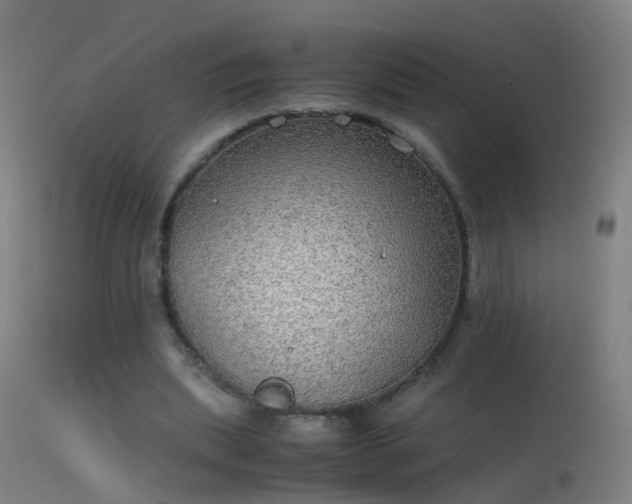 X0000114170439200910151640