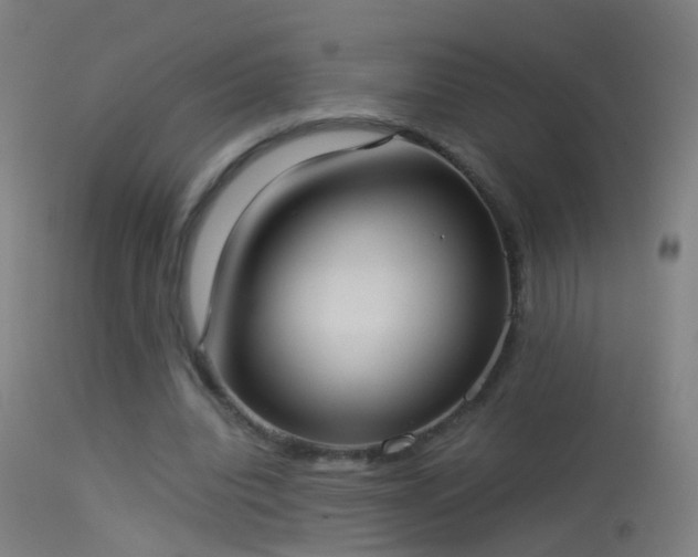 X0000114170440200910151640