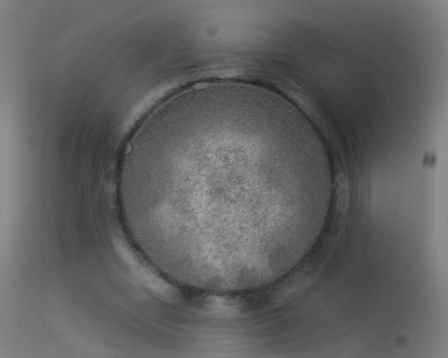 X0000114170442200910151641