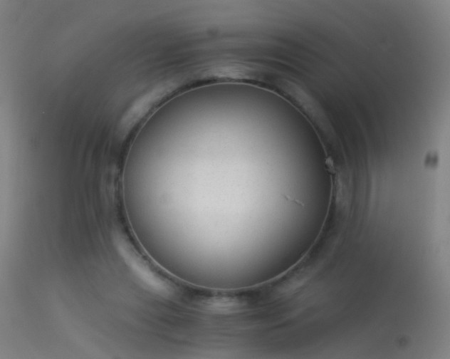 X0000114170445200910151641