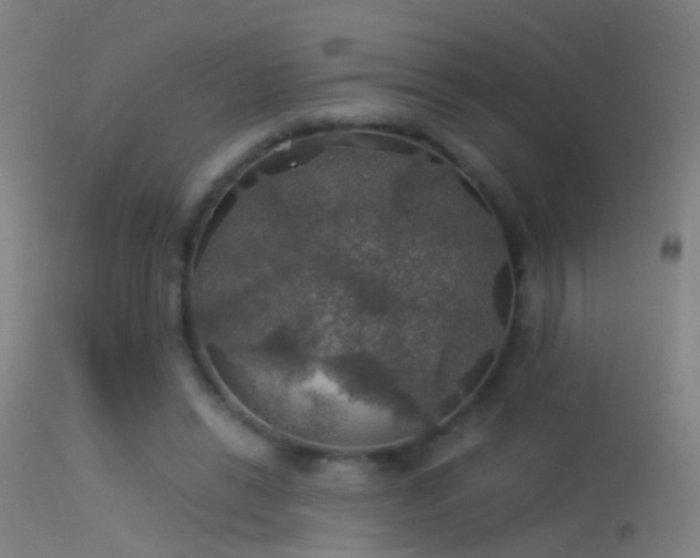 X0000114170446200910151641