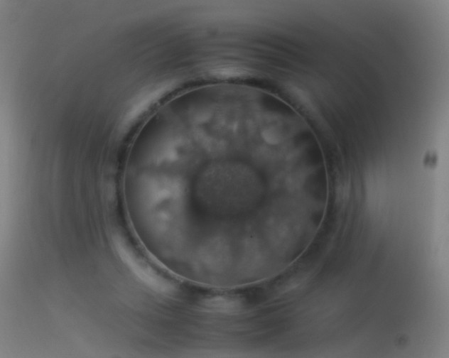 X0000114170447200910151641