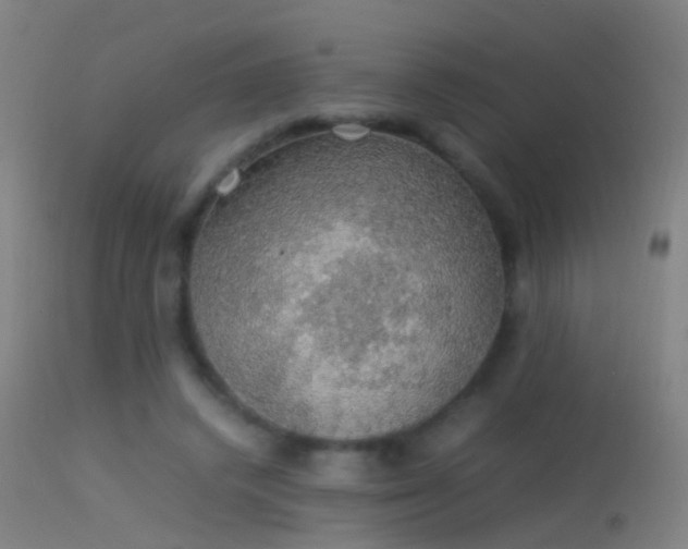 X0000114170448200910151641