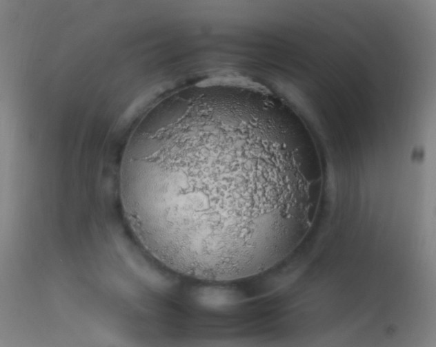 X0000114170449200910151641