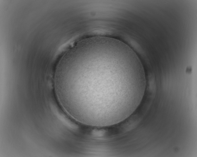 X0000114170450200910151641