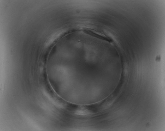 X0000114170451200910151641