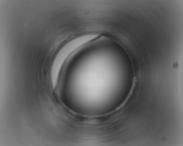 X0000114170452200910151641