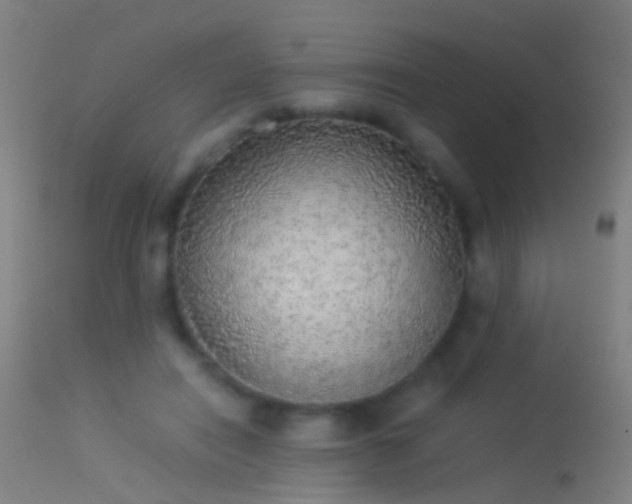 X0000114170454200910151641