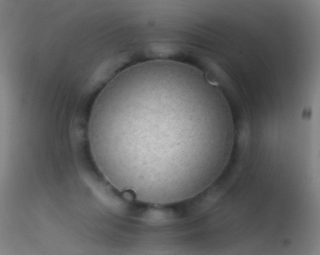 X0000114170455200910151641