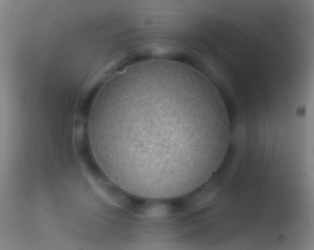 X0000114170456200910151641